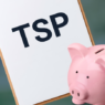 TSP February 2026 Review: Global Equities Shine as U.S. Markets Pause